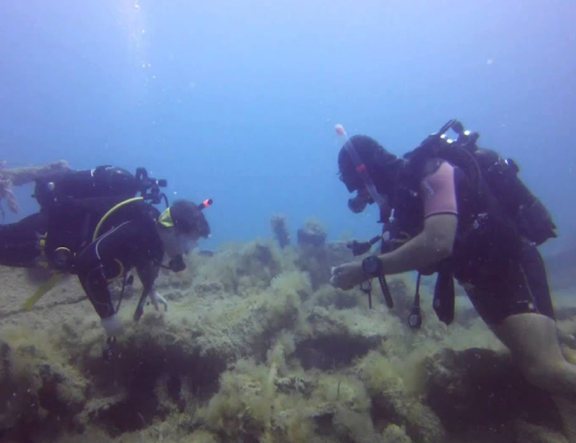 Plongée Épave ALGA – 45 minutes d’aventure à 18 mètres de profondeur